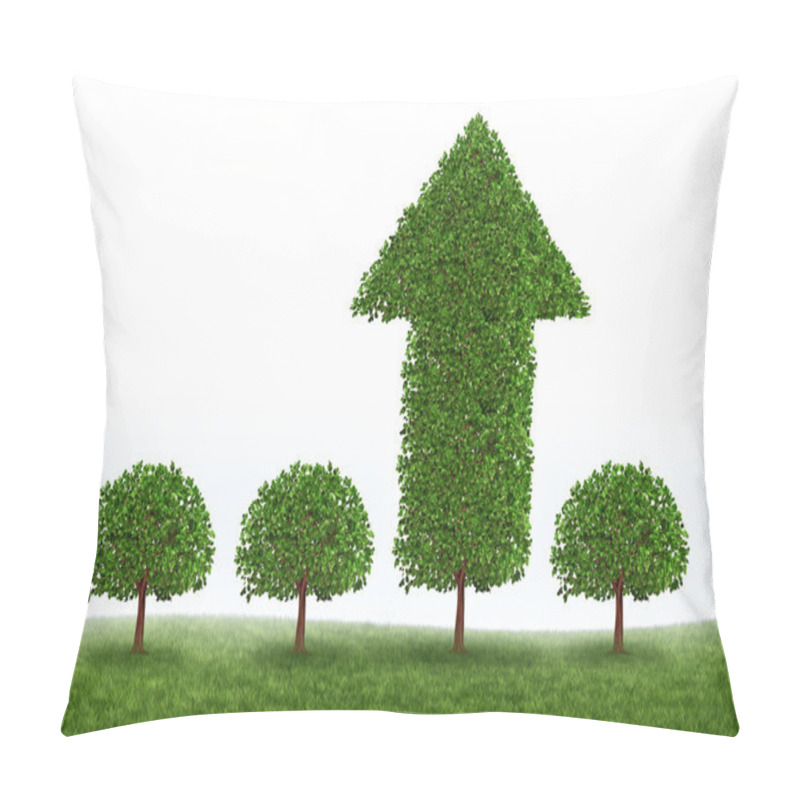 Personality  Financial Growth Success Pillow Covers