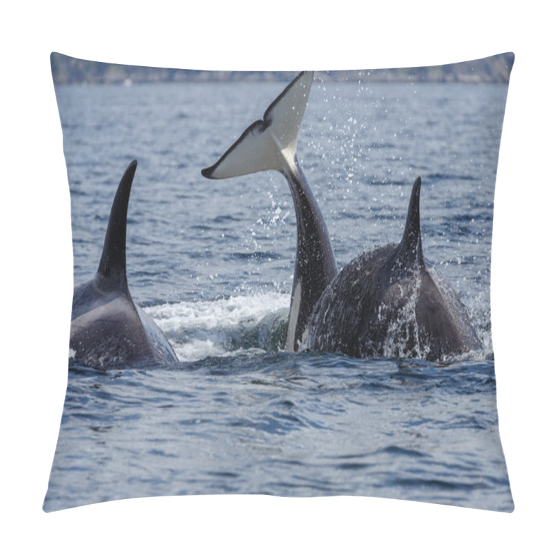 Personality  Jumping Orca Whales  Pillow Covers