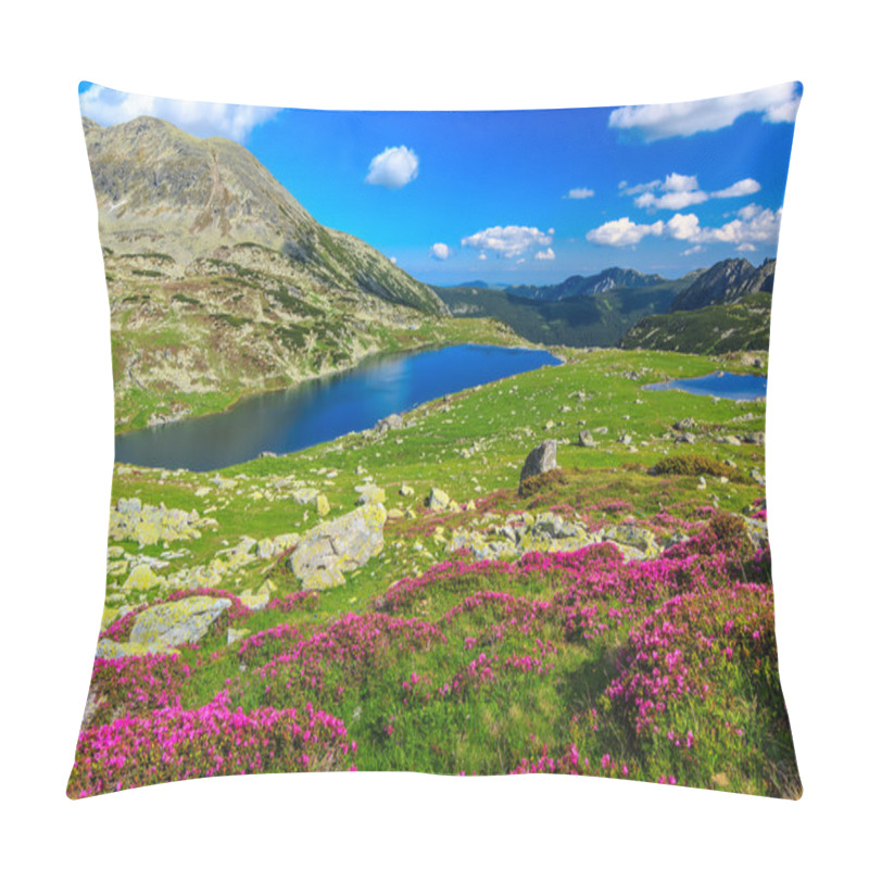 Personality  Beautiful Rhododendron Flowers And Bucura Mountain Lakes,Retezat Mountains,Romania  Pillow Covers