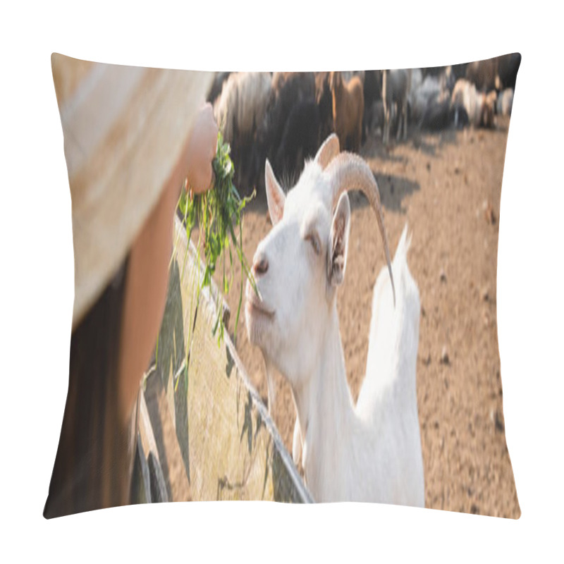 Personality  Blurred Girl Feeding Horned Goat On Cattle Farm, Banner Pillow Covers