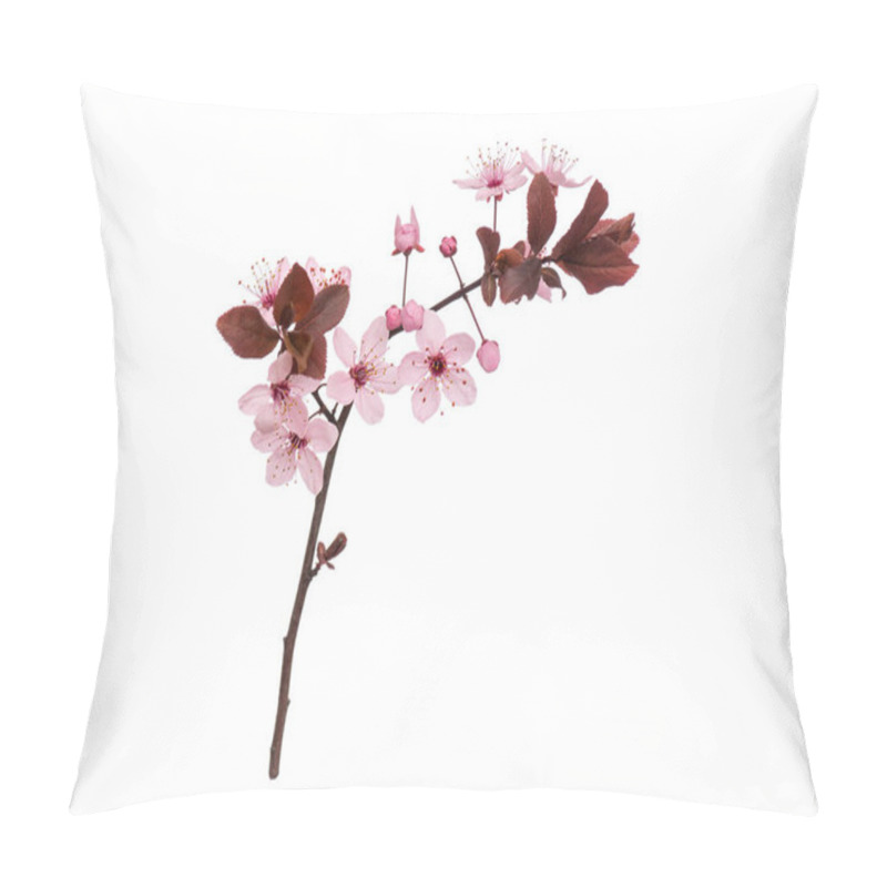 Personality  Blossoming Branch With Pink Cherry Blossom Flowers. Stick Tree Branch From Nature For Design. Single Spring Tree Branch With Flowers And Buds, Isolated On White Background. Pillow Covers