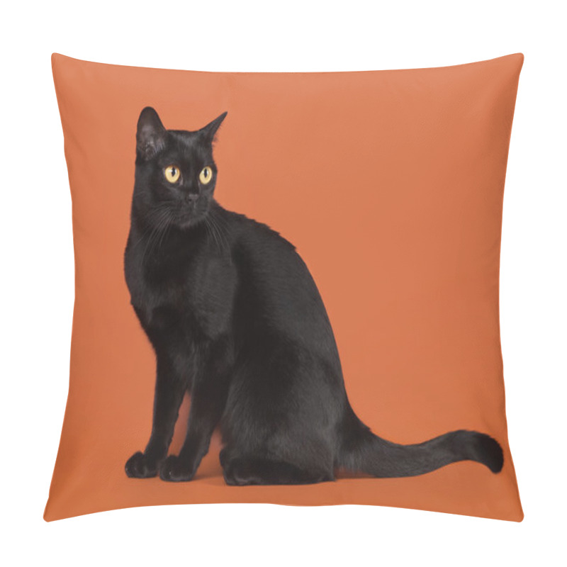 Personality  Black Traditional Bombay Cat On Nuts Background Pillow Covers