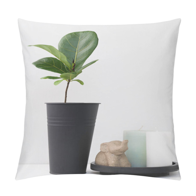 Personality  Modern Stylish  Element Composition With  Fiddle Fig Houseplant In Black Vase,elephant Statue And Candle  Spa On White Table Room Interior  Pillow Covers