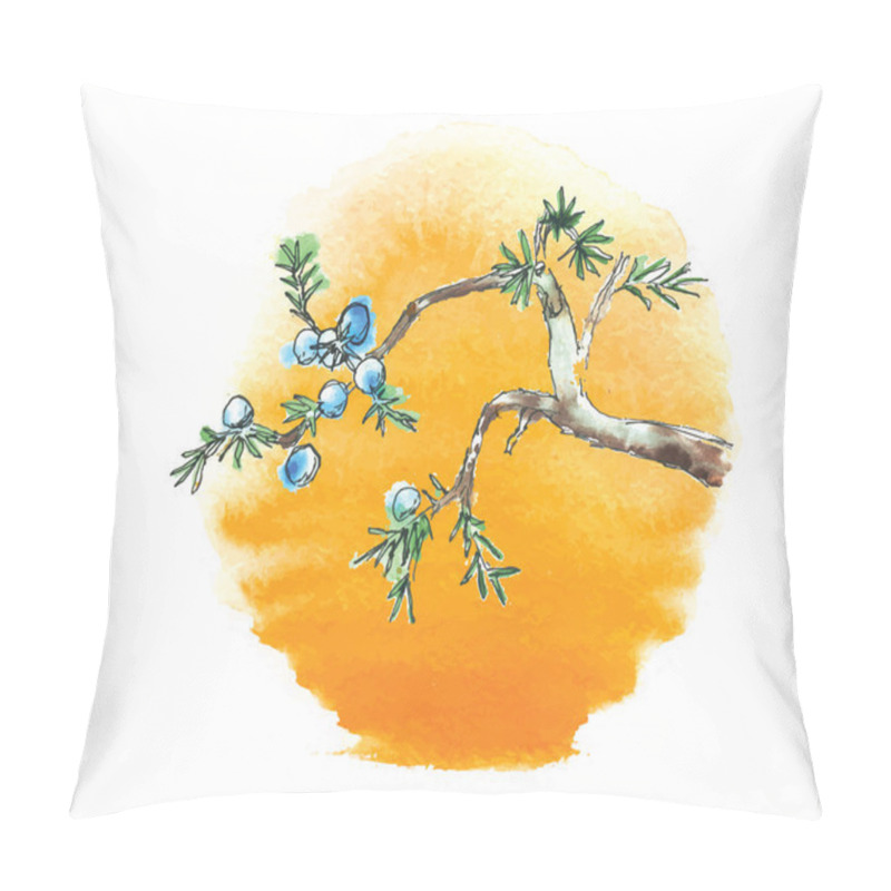 Personality  Branch Of Juniper Tree Against The Sun, Vector Pillow Covers