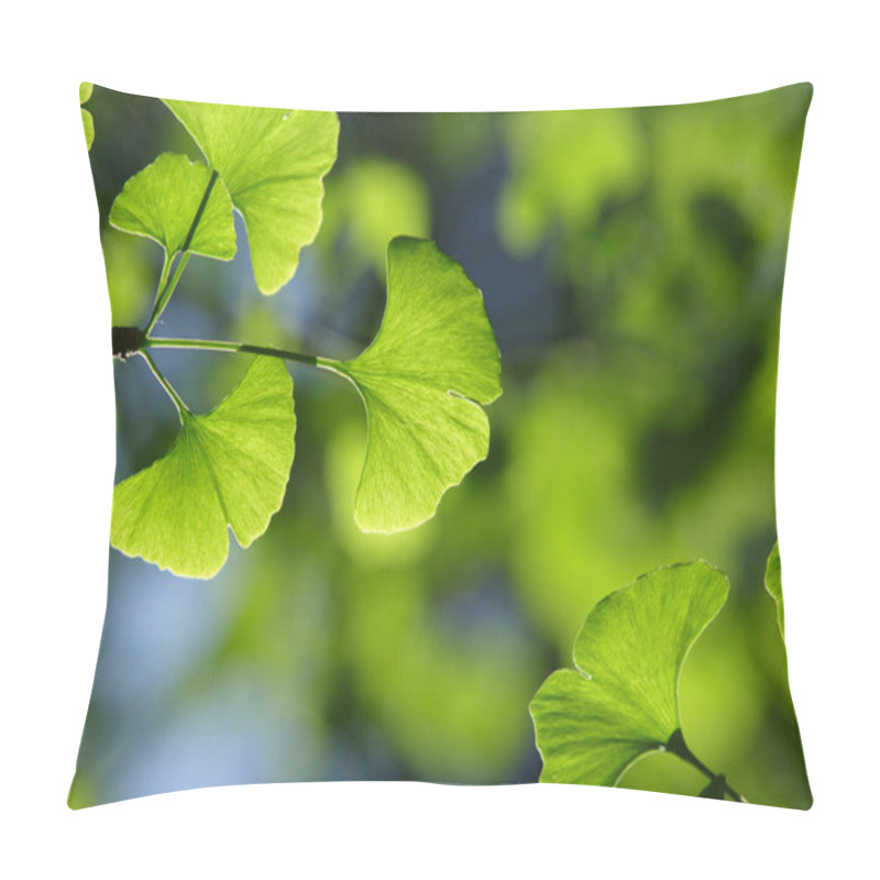 Personality  Ginkgo Biloba Tree. Green Leaves Of The  In Bright Illumination With A Blurred Background Pillow Covers