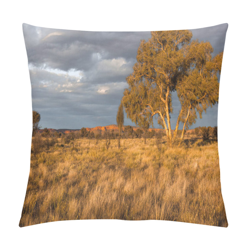 Personality  Scenic View Of Watarrka National Park (Kings Canyon), Central Australia, Northern Territory, Australia Pillow Covers