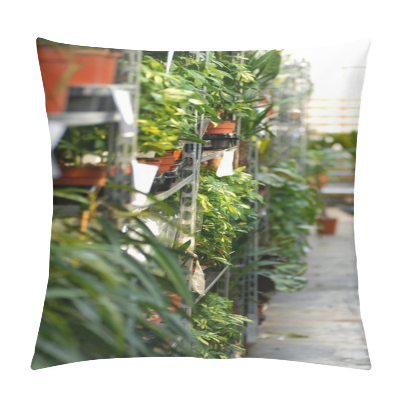 Personality  Plants In Garden Center Pillow Covers