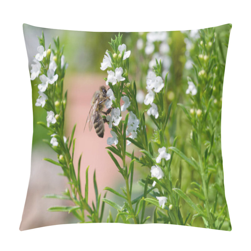 Personality  Honeybee Extracting Nectar From Thyme Flowers Pillow Covers