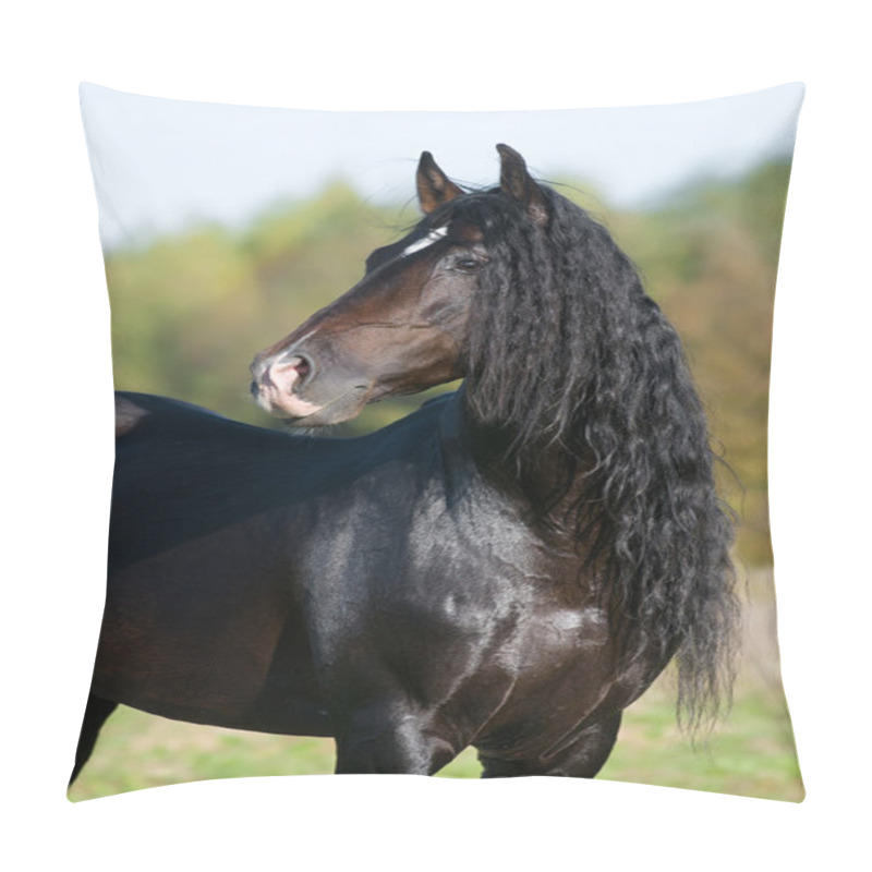 Personality  Bay Horse Stallion Portrait In The Summer Pillow Covers