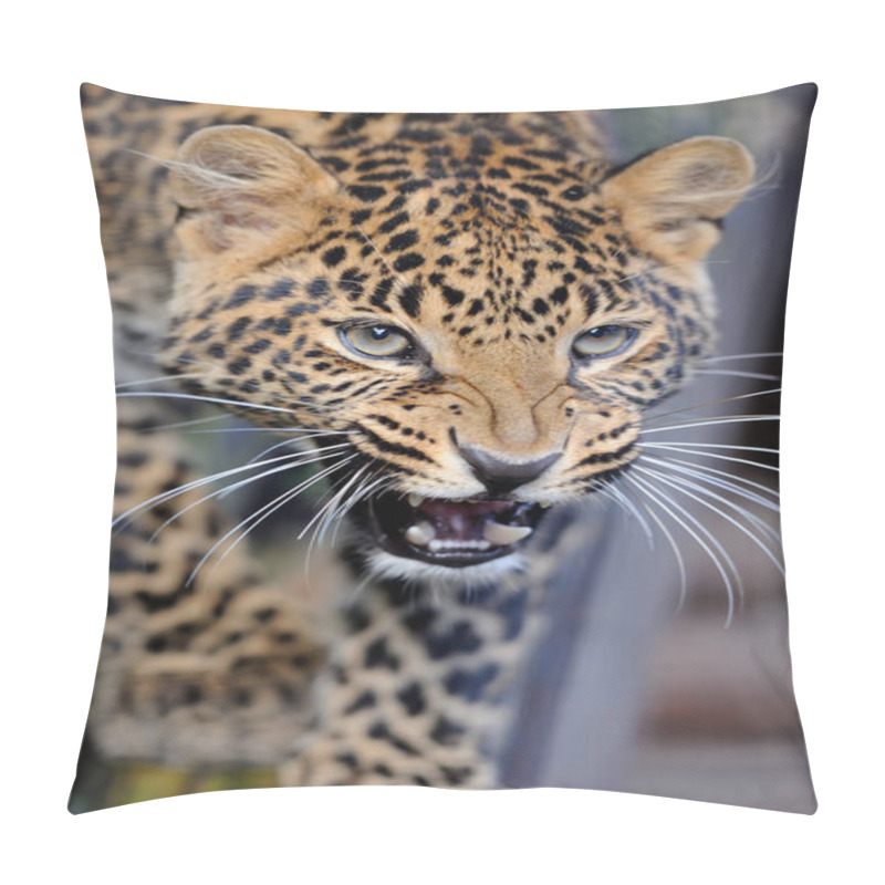 Personality  Leopard In Nature Pillow Covers