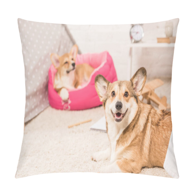 Personality  Cute Pembroke Welsh Corgi Dogs Resting In Soft Pet House And On Fluffy Rug At Home Pillow Covers