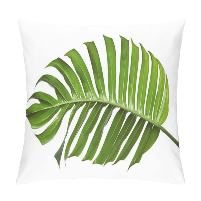 Personality  Monstera Deliciosa Leaf Or Swiss Cheese Plant, Isolated On White Background, With Clipping Path Pillow Covers