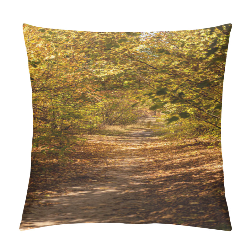 Personality  Scenic Autumnal Forest With Golden Foliage And Pathway In Sunlight Pillow Covers