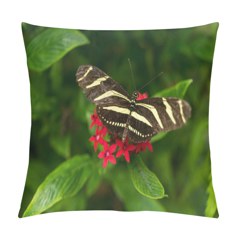 Personality  A Black And Yellow White Zebra Longwing Heliconian Heliconius Charitonius Butterfly Close Up On A Red Flower With Green Pillow Covers