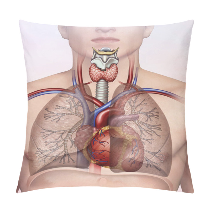 Personality  Human Respiratory Cardio System Pillow Covers