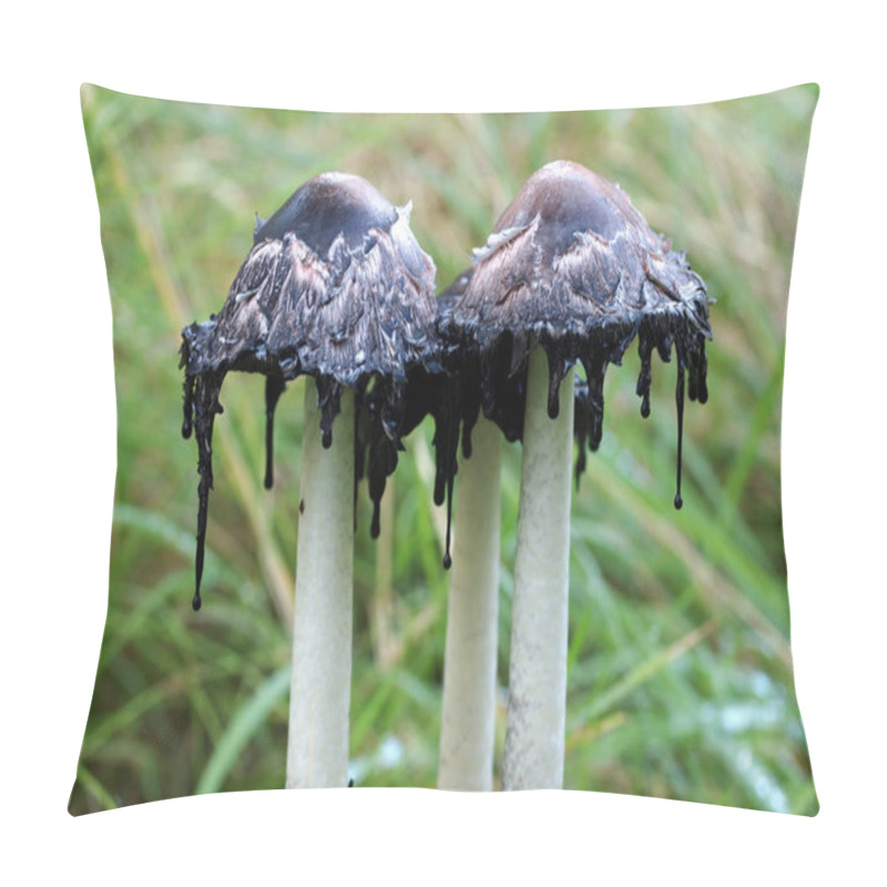 Personality  Three Ink Mushrooms Pillow Covers