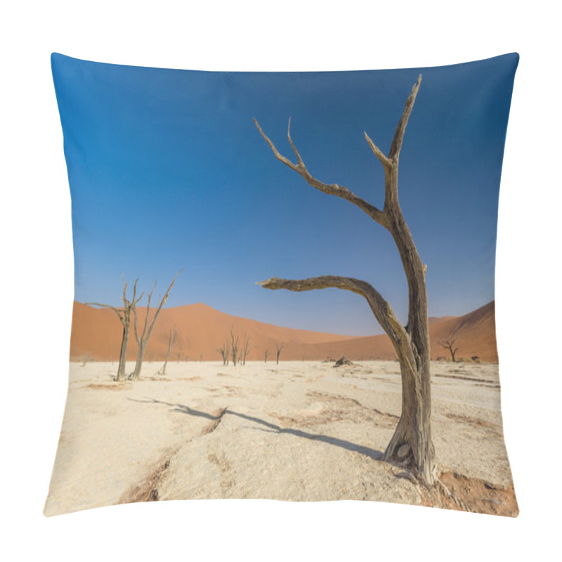 Personality  Namib Desert Sossusvlei Salt Lake Pillow Covers