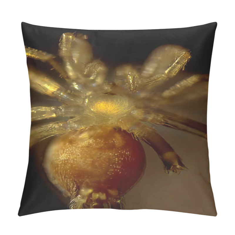 Personality  Close-Up Of A Golden Spider On A Flower Petal Pillow Covers