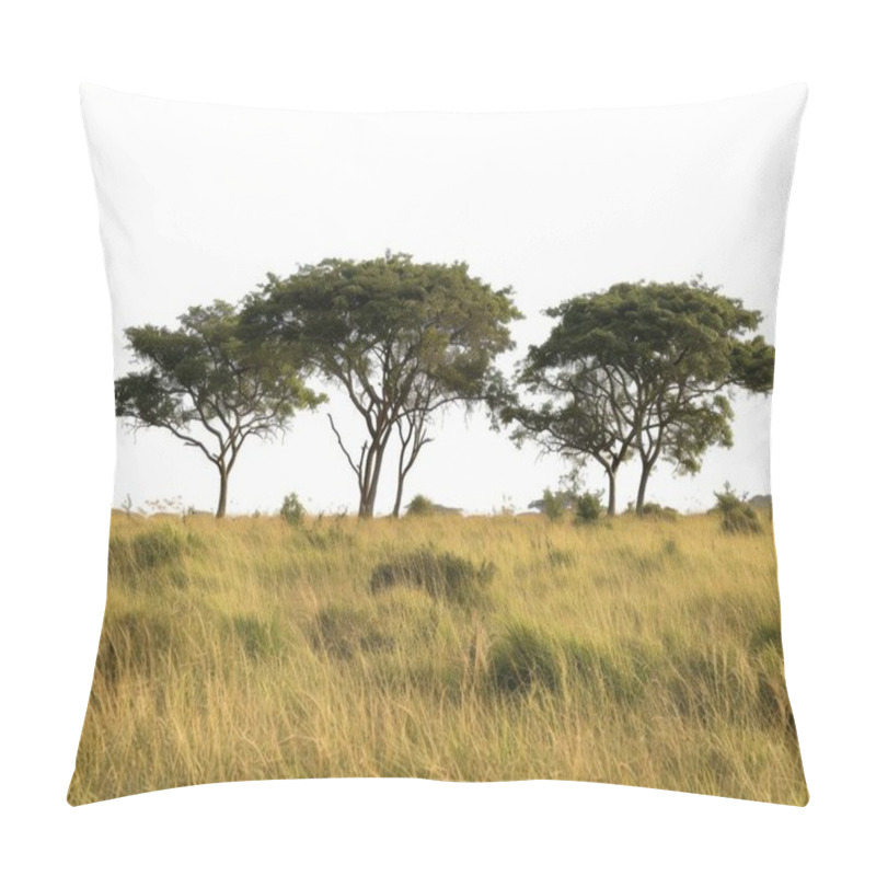 Personality  Three Tall Trees Stand Gracefully In A Golden Grassland, Creating A Serene Landscape Under A Bright Sky. Pillow Covers