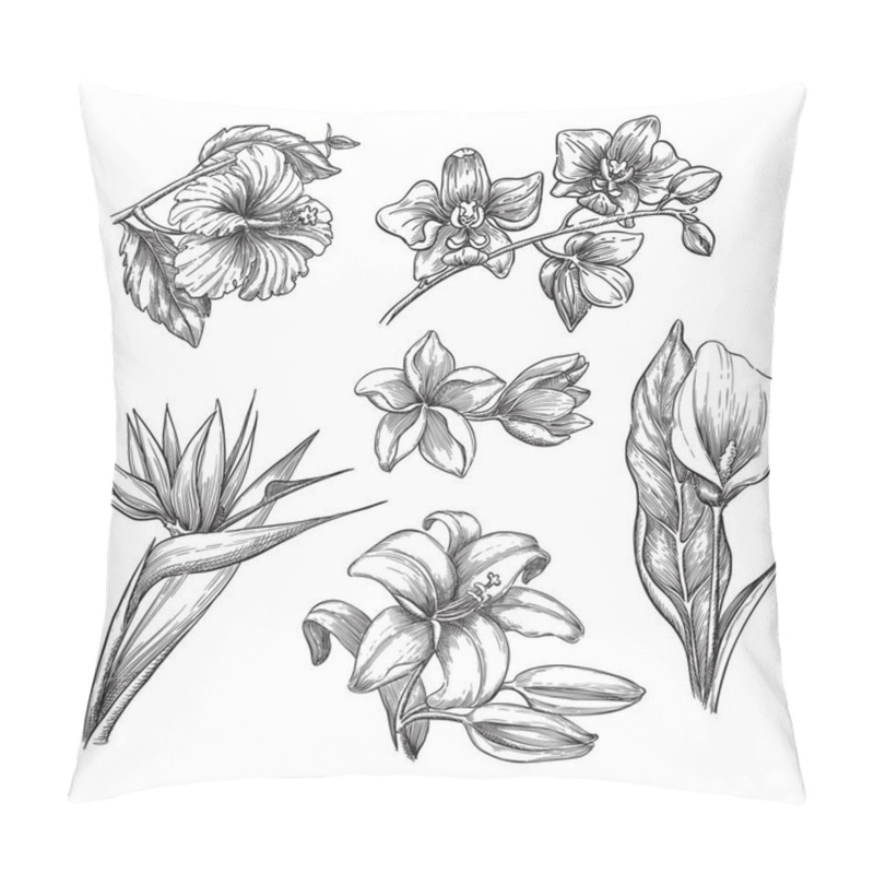 Personality  Tropical Flowers Set, Vector Sketch Illustration. Hand Drawn Tropic Nature And Floral Design Elements. Hibiscus, Plumeria, Lily, Calla, Orchid Isolated On White Background. Pillow Covers