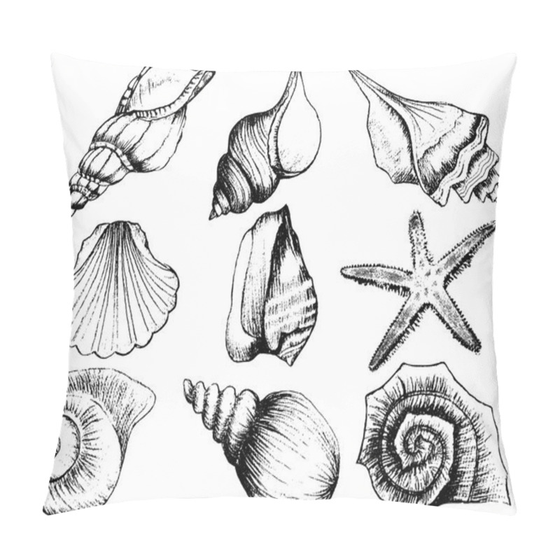 Personality  Hand Drawn Collection Of Various Seashell Illustrations Isolated On White Background  Pillow Covers