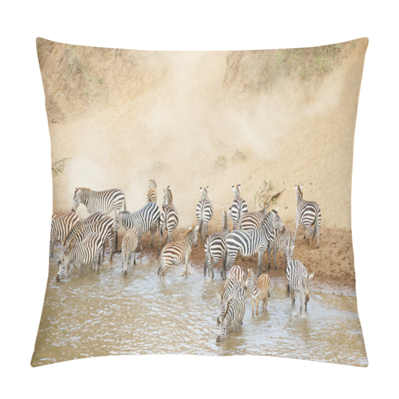 Personality  Herd Of Zebras (African Equids) Pillow Covers