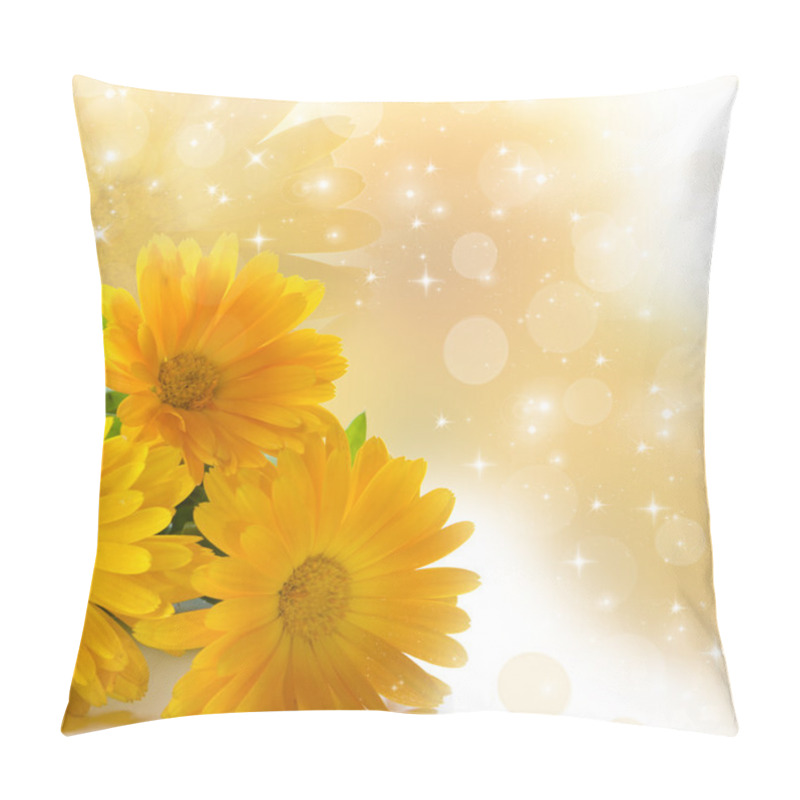 Personality  Calendula Pillow Covers