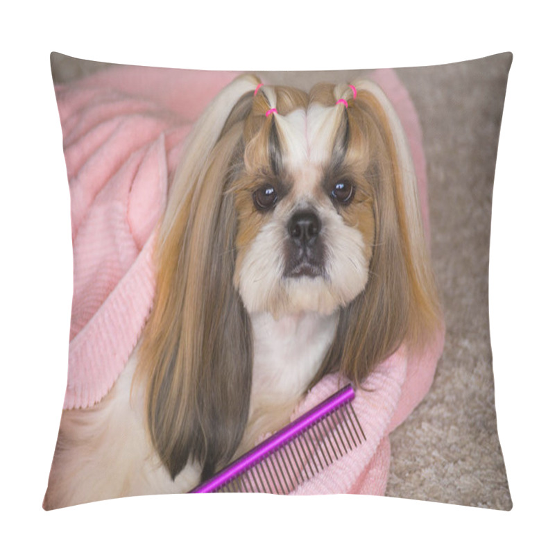 Personality  Beautiful Shih-tzu Dog At The Groomer's Hands With Comb. Pillow Covers