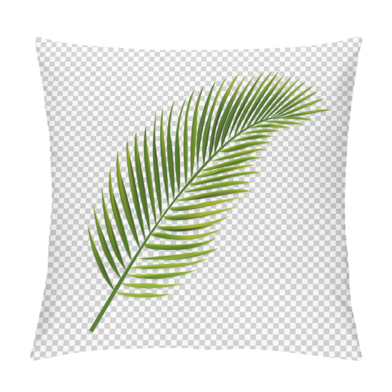 Personality  Palm Leaf Isolated Transparent Background Pillow Covers