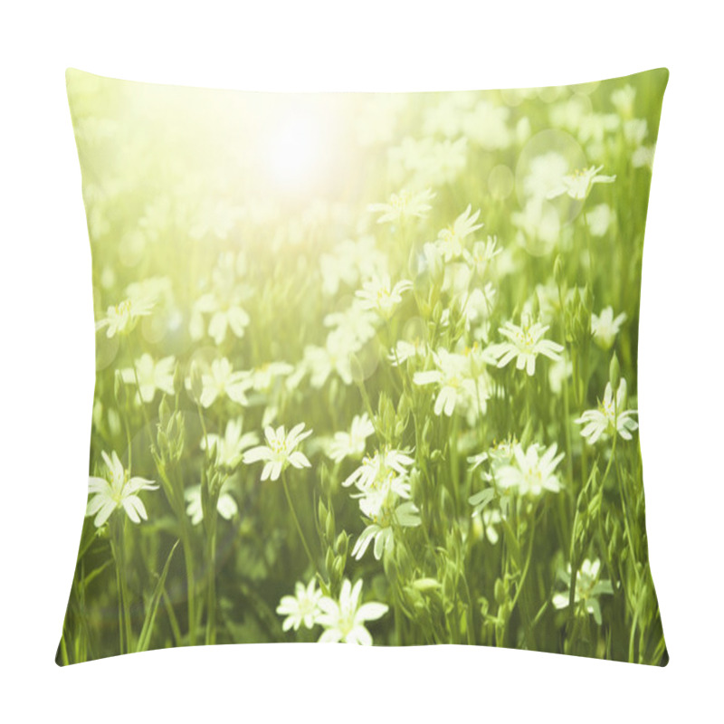 Personality  Spring Background Pillow Covers