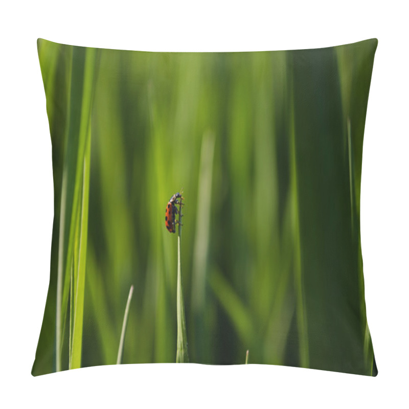 Personality  A Small Insect Pillow Covers