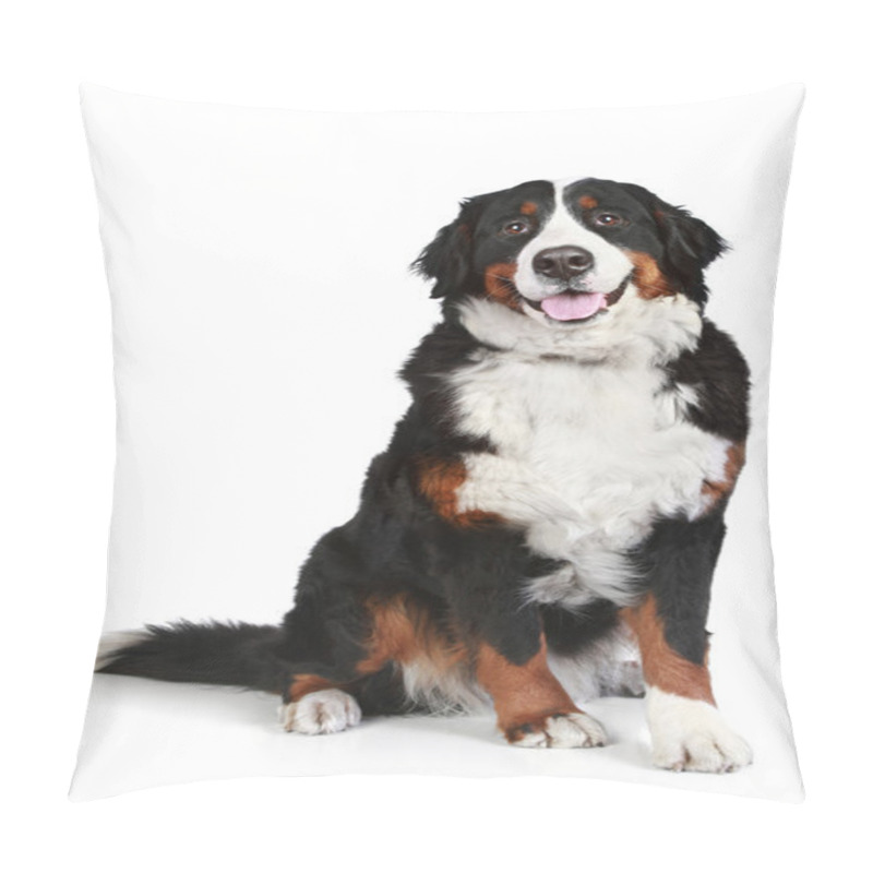 Personality  Bernese Mountain Dog On White Background Pillow Covers