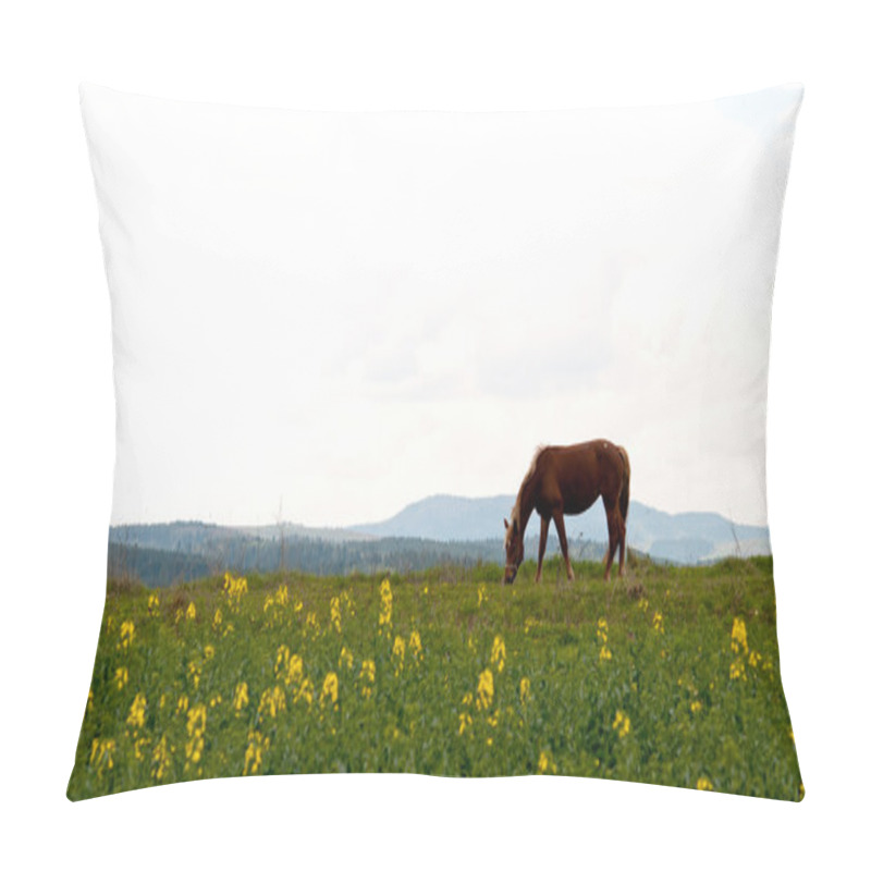 Personality  Horse And Field Pillow Covers