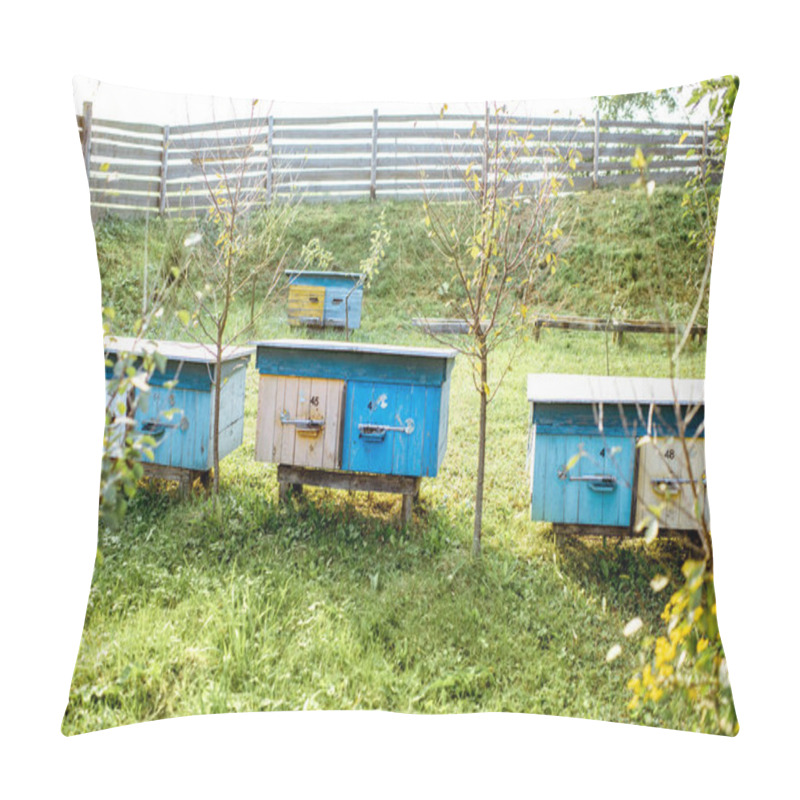 Personality  Apiary With Wooden Beehives Pillow Covers