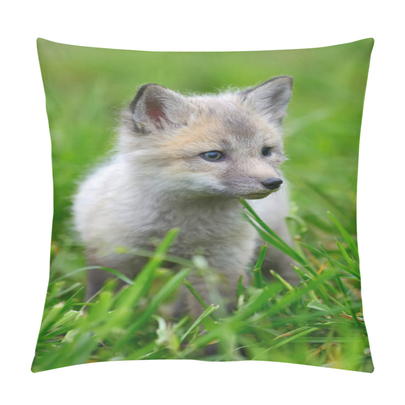 Personality  Baby Silver Fox Pillow Covers