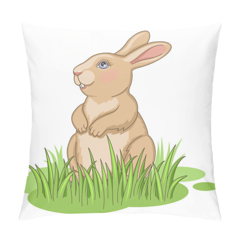 Personality  Rabbit In Grass Pillow Covers