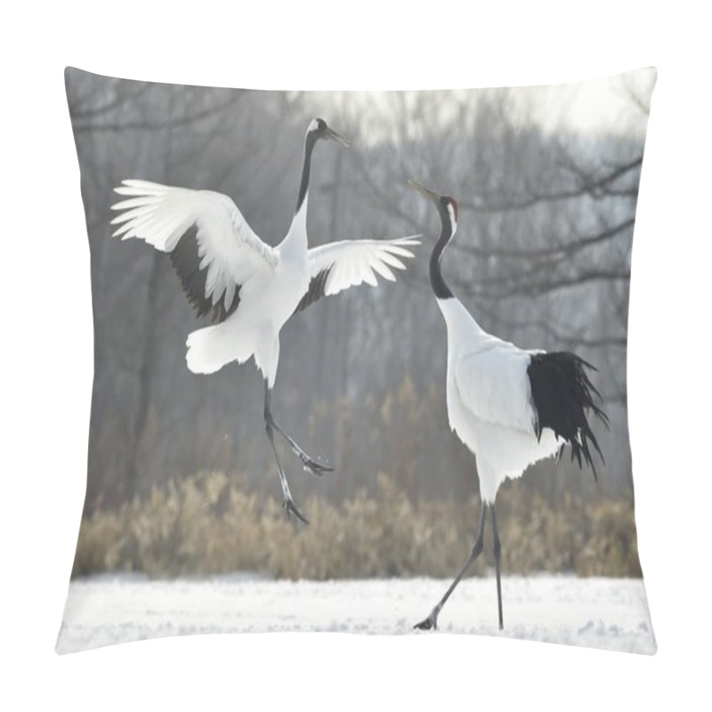 Personality  The Ritual Marriage Dance Of Cranes. The Red-crowned Cranes. Scientific Name: Grus Japonensis, Also Called The Japanese Crane Or Manchurian Crane, Is A Large East Asian Crane. Pillow Covers