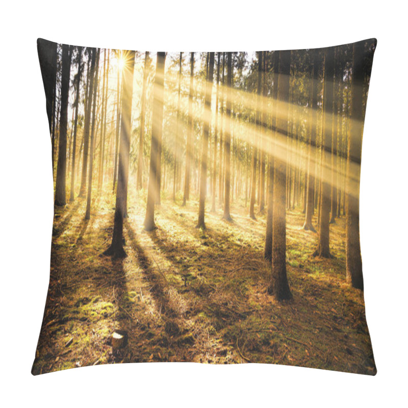 Personality  Sunny Forest Early In The Morning. Sunrise Sunlight Rays Nature Background Autimn Seasonal Atmosphere Concept. Pillow Covers