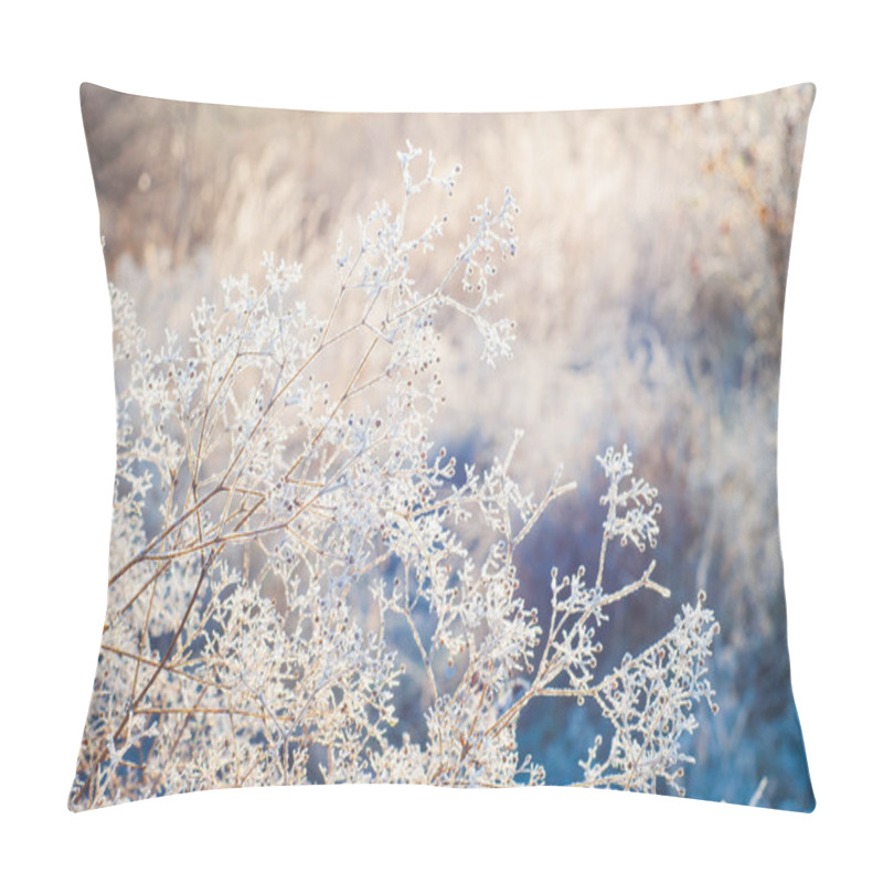 Personality  The Dried Grass Is Covered With Frost Like Light Clouds In The Backlight Of The Morning Sun. Winter Sunrise Frost Concept Pillow Covers