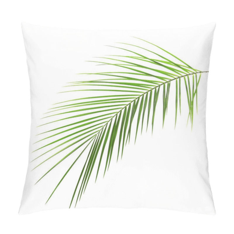 Personality  Fresh Tropical Date Palm Leaf On White Background Pillow Covers