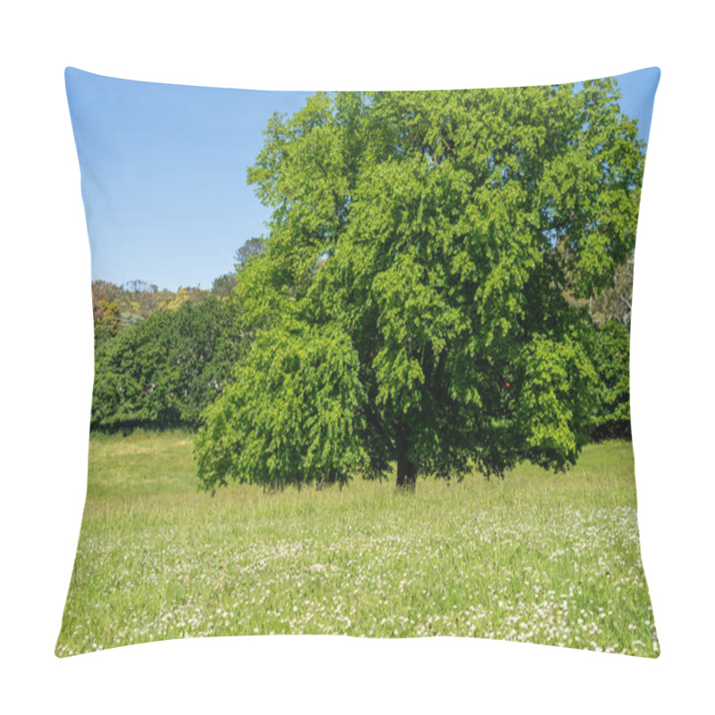 Personality  Trees In A Meadow On A Farm In A Country Estate On A Farm In Spring Pillow Covers