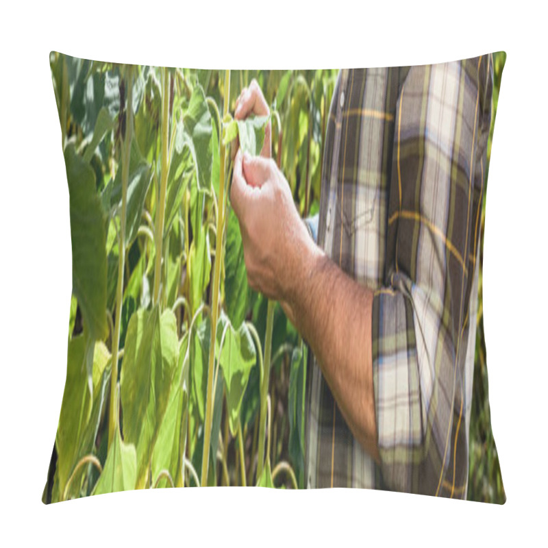 Personality  Panoramic Shot Of Farmer Touching Green Leaf In Field  Pillow Covers