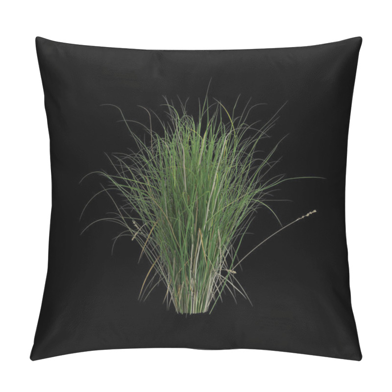 Personality  3d Illustration Of Carex Appressa Bush Isolated On Black Background Pillow Covers