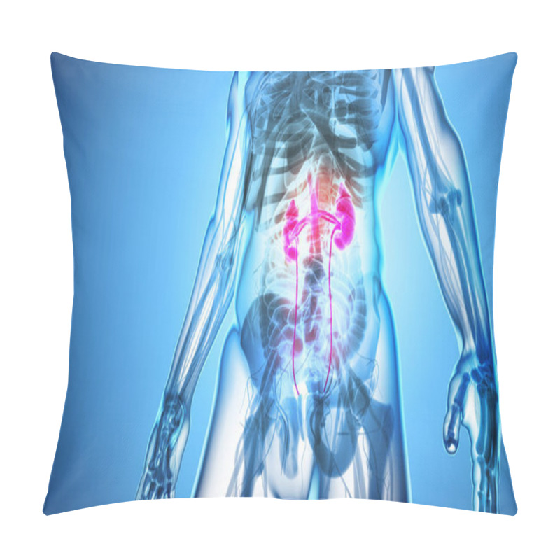 Personality  3D Illustration Of Urinary System, Medical Concept. Pillow Covers