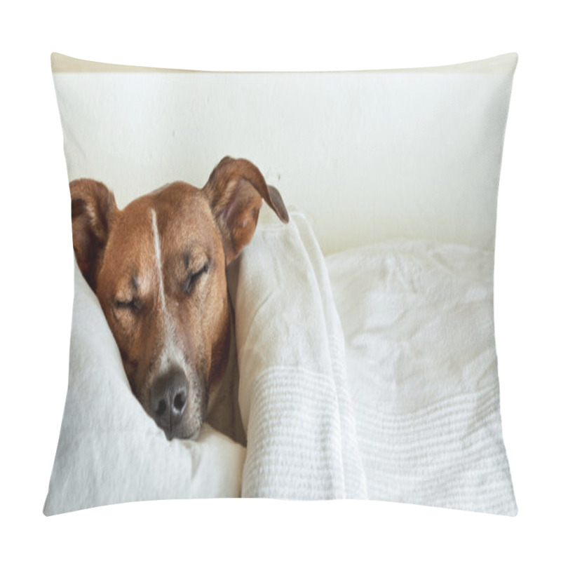 Personality  Dog Sleep Pillow Covers