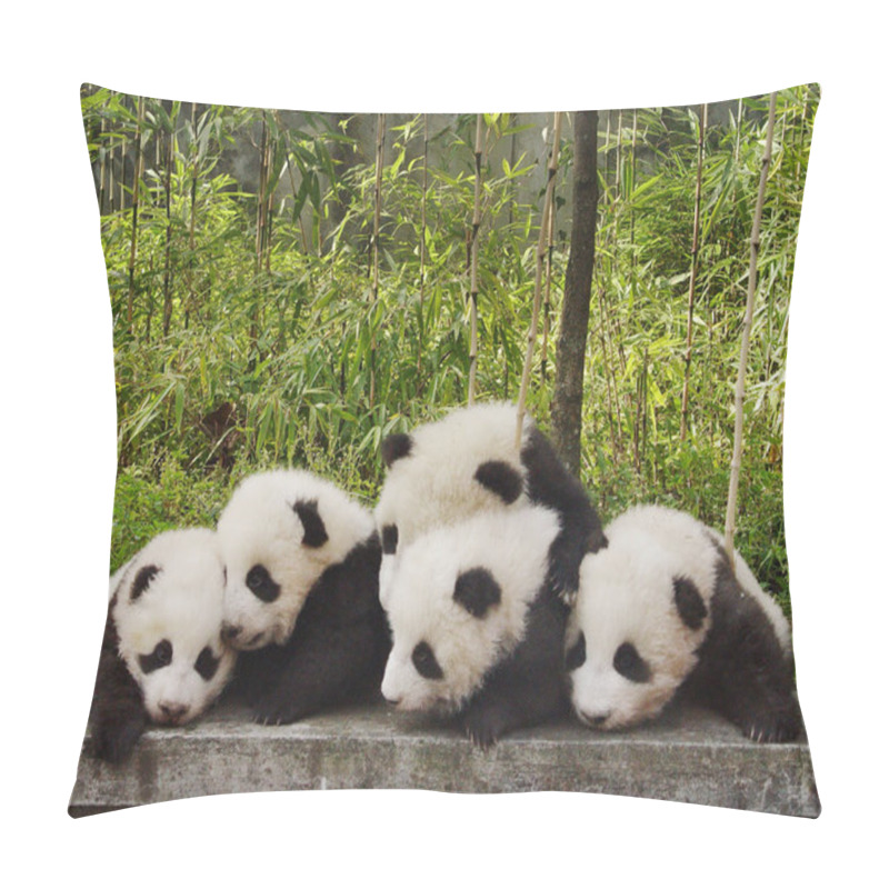 Personality  Five Baby Giant Pandas Play At China Conservation And Research Center For The Giant Panda In Wolong, Southwest Chinas Sichuan Province November 7, 2005.  Pillow Covers