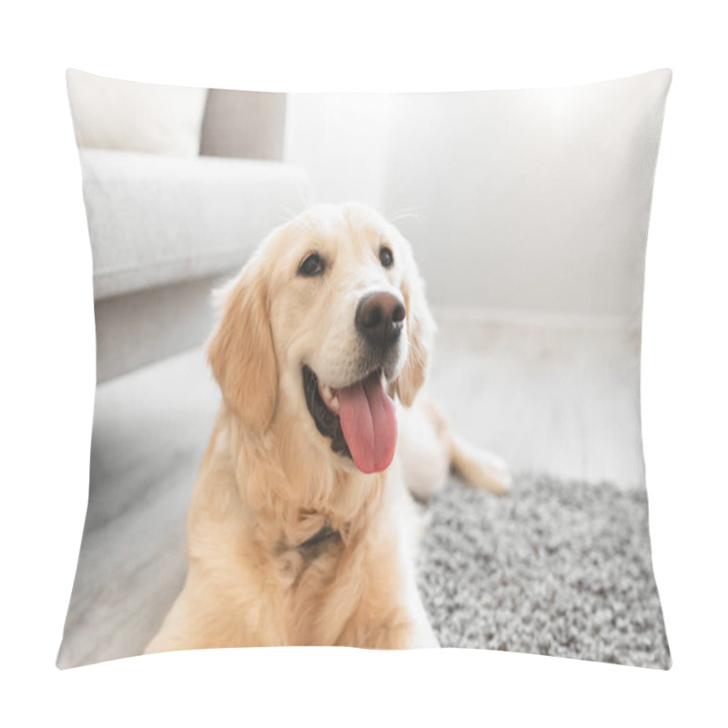 Personality  Portrait Of Cute Dog Lying On The Floor Pillow Covers