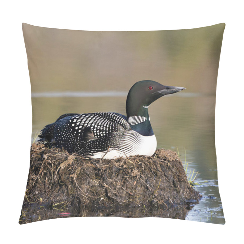 Personality  Loon Nesting On Its Nest With Marsh Grasses, Mud And Water By The Lakeshore In Its Environment And Habitat Displaying Red Eye, Black And White Feather Plumage, Greenish Neck With A Blur Background. Loon Nest Image. Loon On Lake. Loon In Wetland.  Pillow Covers