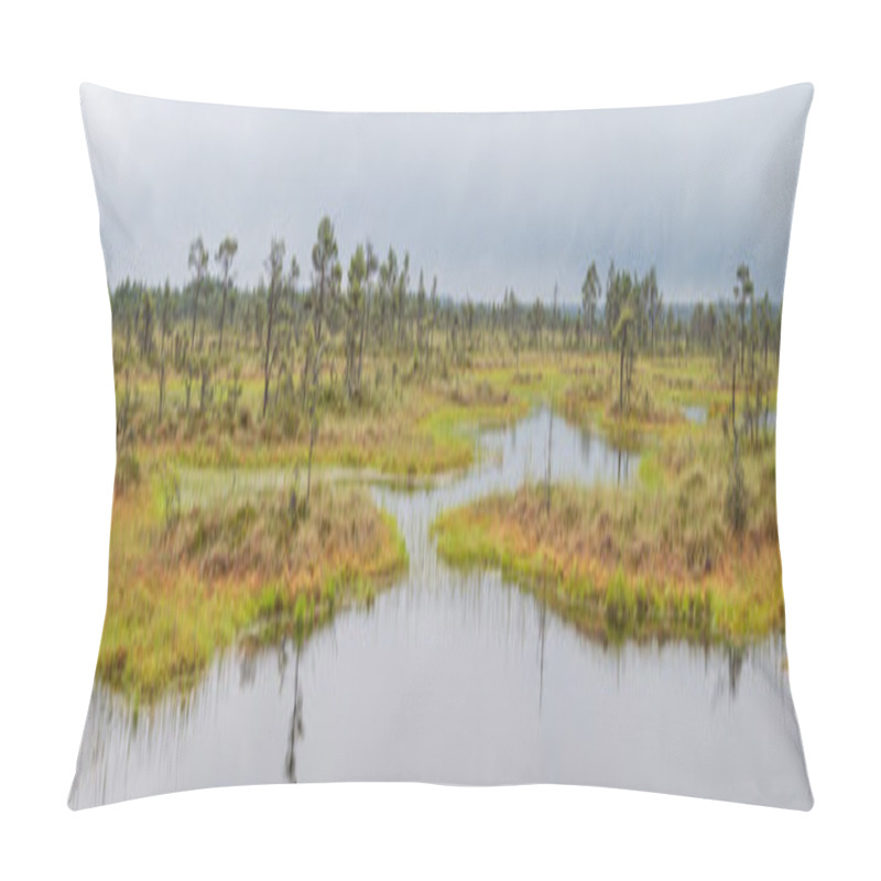 Personality  Kakerdaja Bog In Korvemaa, Estonia Pillow Covers