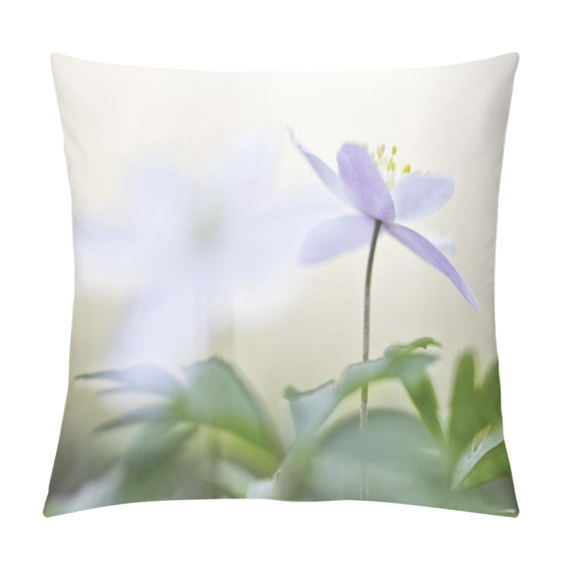 Personality  Single Wood Anemone Flower Pillow Covers